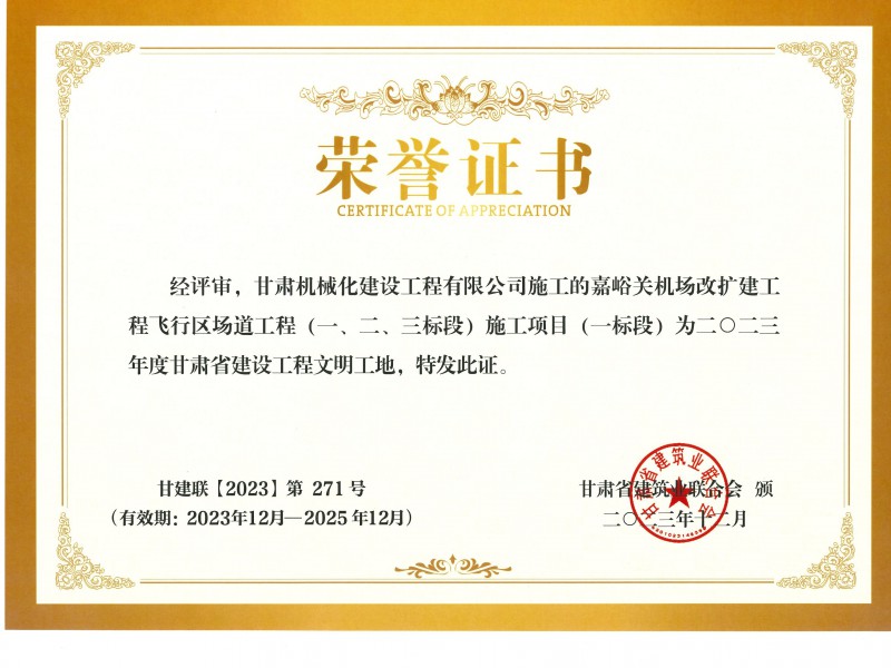 烏魯木齊機場改擴建工程飛行區場道工程 01 標段及圍界附屬工程標段順利通過行業驗收