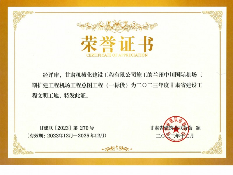 烏魯木齊機場改擴建工程飛行區場道工程 01 標段及圍界附屬工程標段順利通過行業驗收